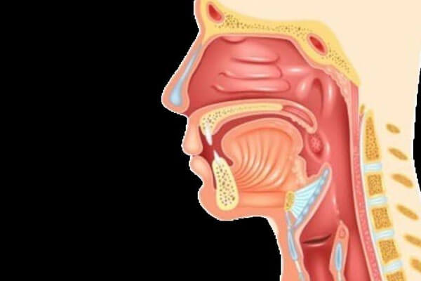 Head and Neck Cancer Surgeon in Mahim