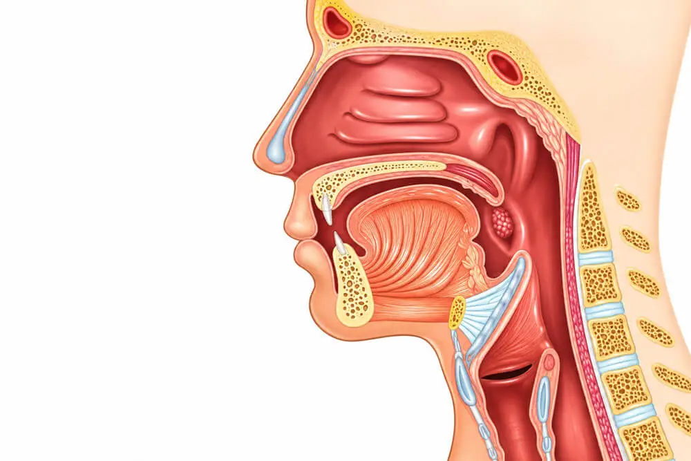 Head and Neck Cancer Surgeon